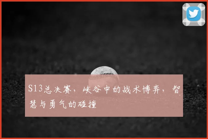 S13总决赛,峡谷中的战术博弈,智慧与勇气的碰撞