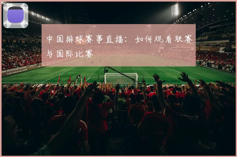 中国排球赛事直播：如何观看联赛与国际比赛