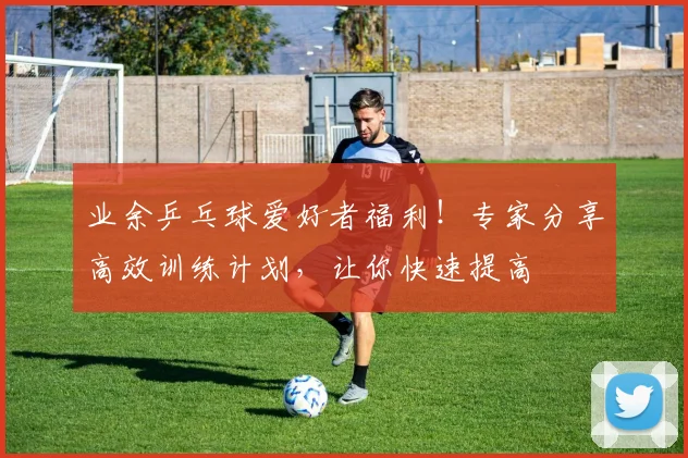 业余乒乓球爱好者福利!专家分享高效训练计划,让你快速提高