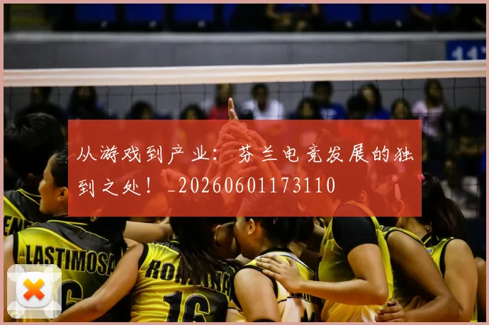 从游戏到产业：芬兰电竞发展的独到之处！_20260601173110