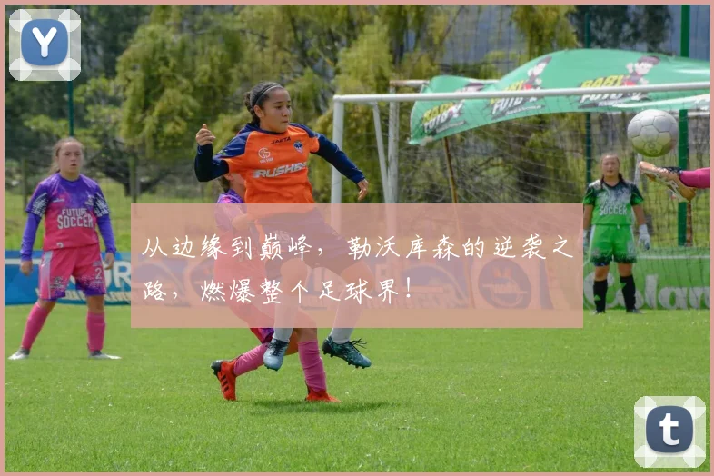 从边缘到巅峰，勒沃库森的逆袭之路，燃爆整个足球界！
