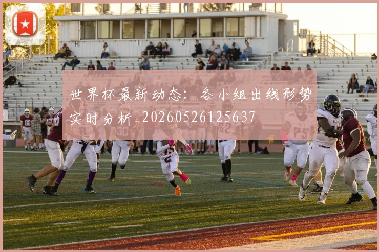 世界杯最新动态:各小组出线形势实时分析_20260526125637