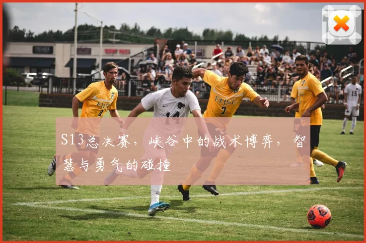 S13总决赛，峡谷中的战术博弈，智慧与勇气的碰撞